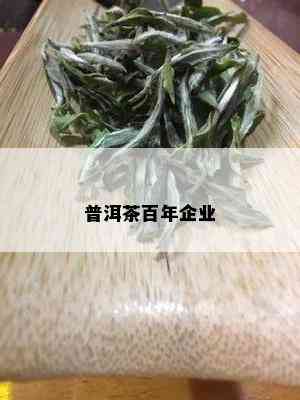 普洱茶百年企业