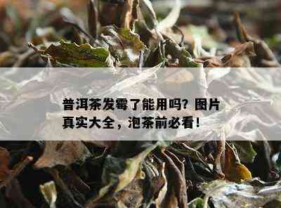 普洱茶发霉了能用吗？图片真实大全，泡茶前必看！