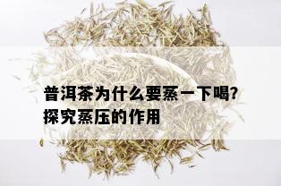 普洱茶为什么要蒸一下喝？探究蒸压的作用