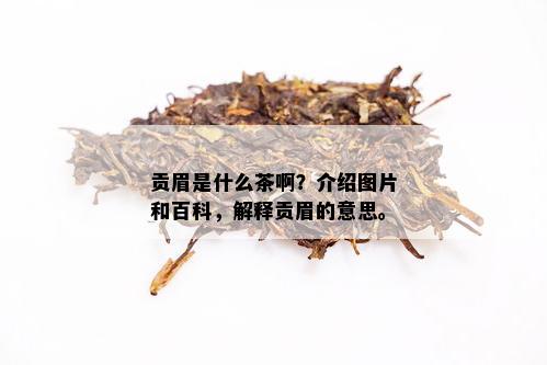 贡眉是什么茶啊？介绍图片和百科，解释贡眉的意思。