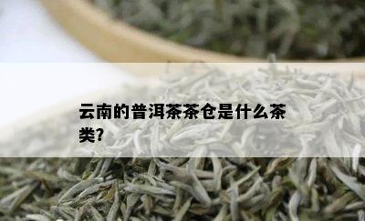 云南的普洱茶茶仓是什么茶类？