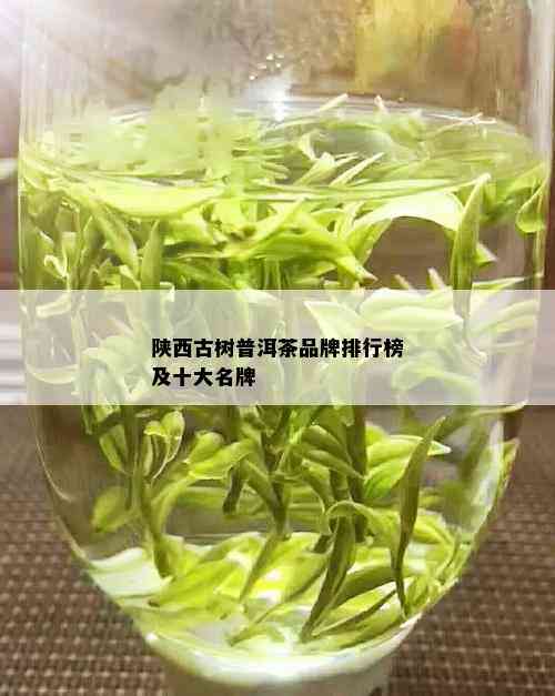 陕西古树普洱茶品牌排行榜及十大名牌