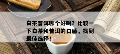 白茶普洱哪个好喝？比较一下白茶和普洱的口感，找到更佳选择！