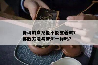 普洱的白茶能不能煮着喝？存放方法与普洱一样吗？