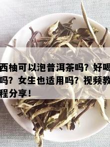 西柚可以泡普洱茶吗？好喝吗？女生也适用吗？视频教程分享！