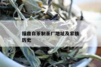 福鼎白茶制茶厂地址及家族历史