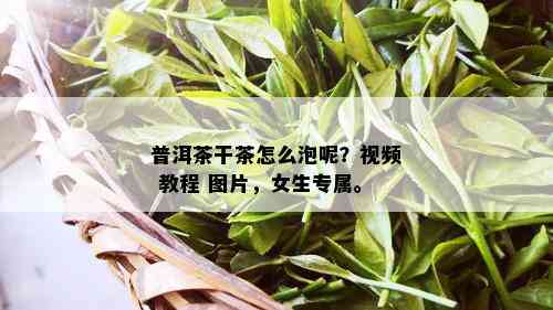 普洱茶干茶怎么泡呢？视频 教程 图片，女生专属。