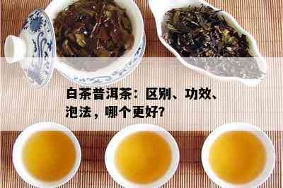 白茶普洱茶：区别、功效、泡法，哪个更好？