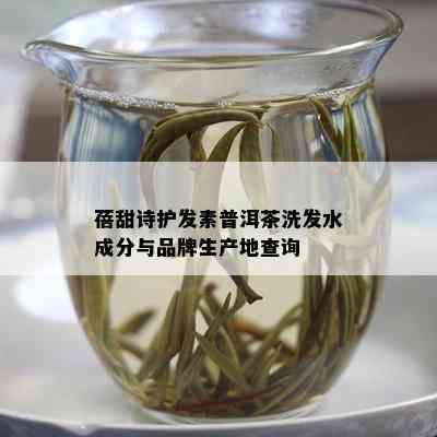 蓓甜诗护发素普洱茶洗发水成分与品牌生产地查询