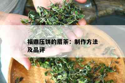 福鼎压饼的眉茶：制作方法及品评