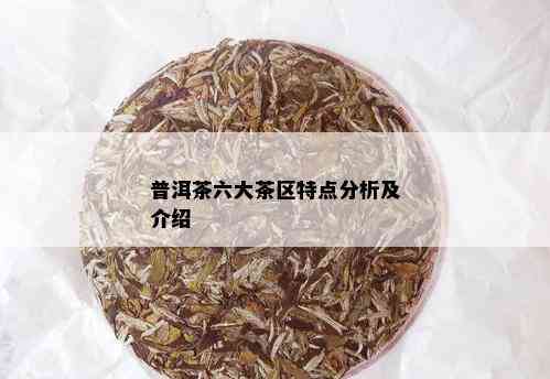 普洱茶六大茶区特点分析及介绍