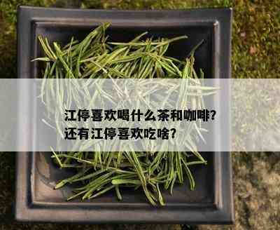 江停喜欢喝什么茶和咖啡？还有江停喜欢吃啥？