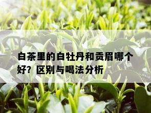 白茶里的白牡丹和贡眉哪个好？区别与喝法分析