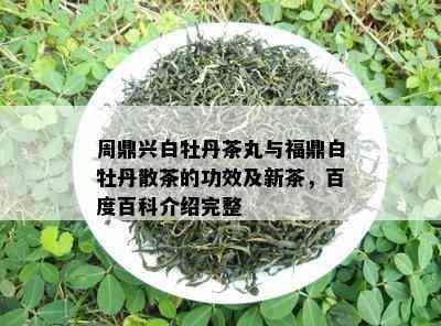 周鼎兴白牡丹茶丸与福鼎白牡丹散茶的功效及新茶，百度百科介绍完整