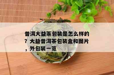 普洱大益茶包装是怎么样的？大益普洱茶包装盒和图片，外包装一览