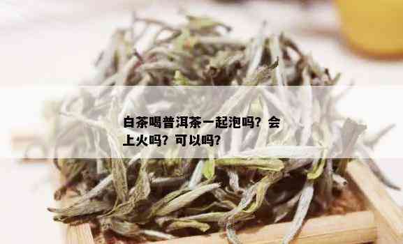 白茶喝普洱茶一起泡吗？会上火吗？可以吗？