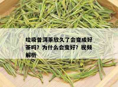 垃圾普洱茶放久了会变成好茶吗？为什么会变好？视频解析