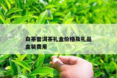 白茶普洱茶礼盒价格及礼品盒装费用