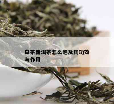 白茶普洱茶怎么泡及其功效与作用