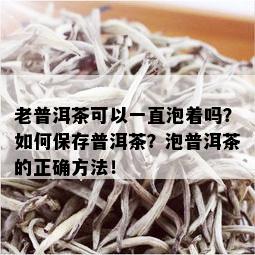 老普洱茶可以一直泡着吗？如何保存普洱茶？泡普洱茶的正确方法！