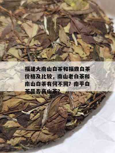 福建大南山白茶和福鼎白茶价格及比较，南山老白茶和南山白茶有何不同？南平白茶是否高山茶？