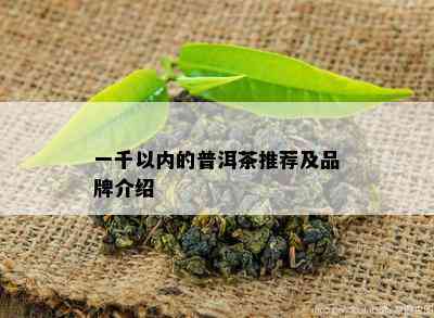 一千以内的普洱茶推荐及品牌介绍