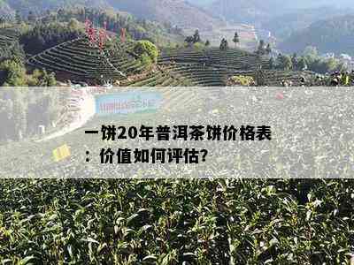 一饼20年普洱茶饼价格表：价值如何评估？