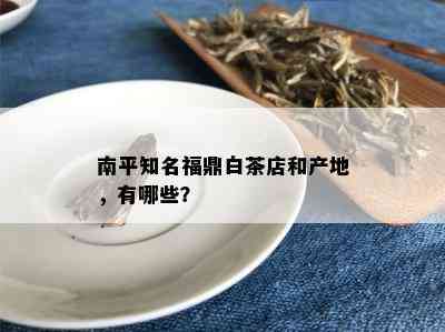 南平知名福鼎白茶店和产地，有哪些？