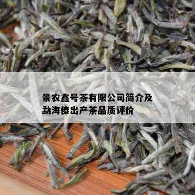 景农鑫号茶有限公司简介及勐海傣出产茶品质评价