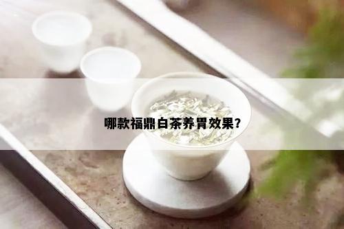 哪款福鼎白茶养胃效果？