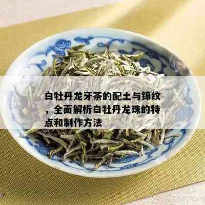 白牡丹龙牙茶的配土与锦纹，全面解析白牡丹龙珠的特点和制作方法