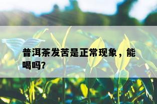 普洱茶发苦是正常现象，能喝吗？