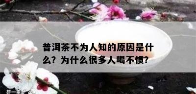 普洱茶不为人知的原因是什么？为什么很多人喝不惯？