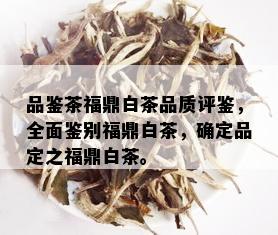 品鉴茶福鼎白茶品质评鉴，全面鉴别福鼎白茶，确定品定之福鼎白茶。