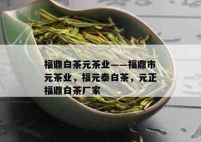 福鼎白茶元茶业——福鼎市元茶业，福元泰白茶，元正福鼎白茶厂家