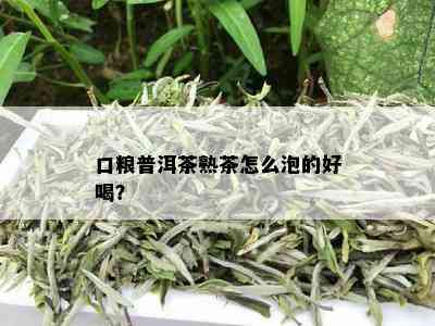 口粮普洱茶熟茶怎么泡的好喝？