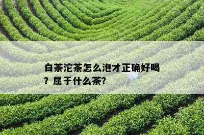 白茶沱茶怎么泡才正确好喝？属于什么茶？