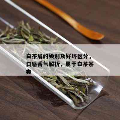 白茶眉的级别及好坏区分，口感香气解析，属于白茶茶类