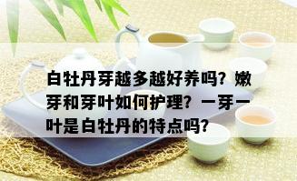 白牡丹芽越多越好养吗？嫩芽和芽叶如何护理？一芽一叶是白牡丹的特点吗？