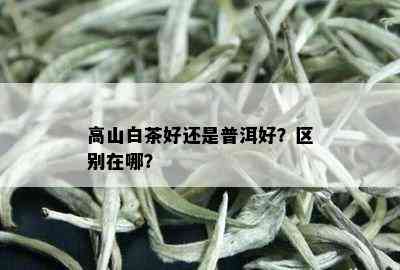 高山白茶好还是普洱好？区别在哪？