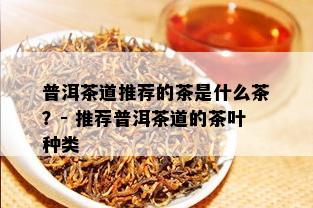 普洱茶道推荐的茶是什么茶？- 推荐普洱茶道的茶叶种类