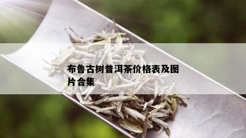 布鲁古树普洱茶价格表及图片合集