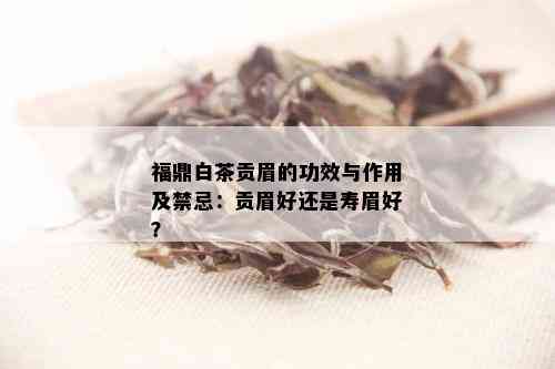 福鼎白茶贡眉的功效与作用及禁忌：贡眉好还是寿眉好？