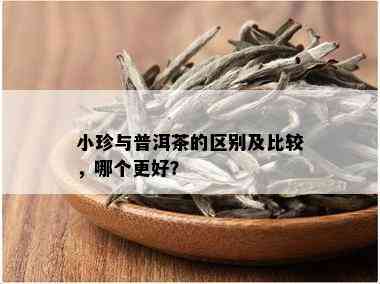 小珍与普洱茶的区别及比较，哪个更好？