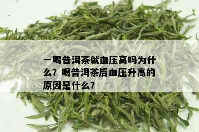 一喝普洱茶就血压高吗为什么？喝普洱茶后血压升高的原因是什么？