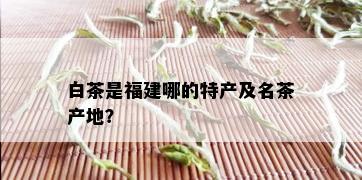 白茶是福建哪的特产及名茶产地？