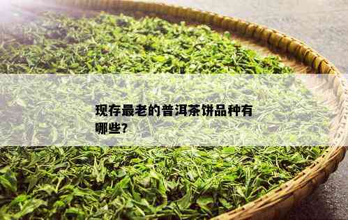 现存最老的普洱茶饼品种有哪些？