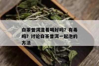 白茶普洱混着喝好吗？有吗？讨论白茶普洱一起泡的方法