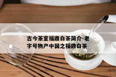 古今茶室福鼎白茶简介-老字号物产中国之福鼎白茶