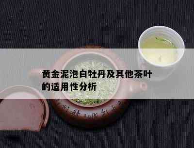 黄金泥泡白牡丹及其他茶叶的适用性分析